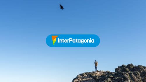 Avistaje de condores