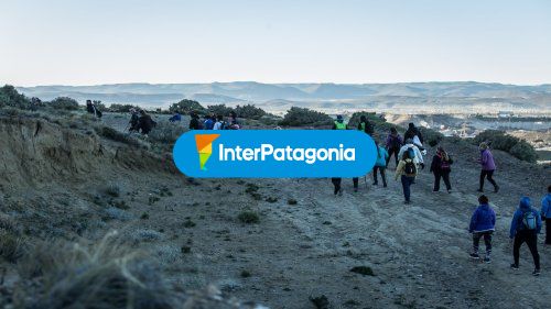 Actividades