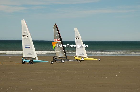 Categora pareja - Comodoro Rivadavia