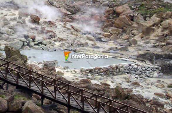 Pequeas olletas, abundantes respiraderos, Las Maquinitas - Copahue