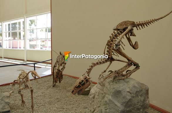 Dinosaurios - Cutral-C Plaza Huincul