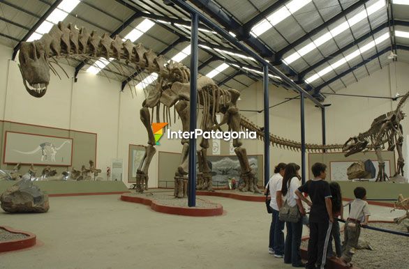 Argentinosaurus Huinculensis - Cutral-C Plaza Huincul