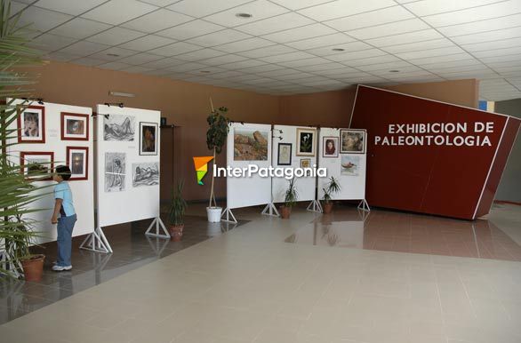 Interior Museo Carmen Funes - Cutral-C Plaza Huincul