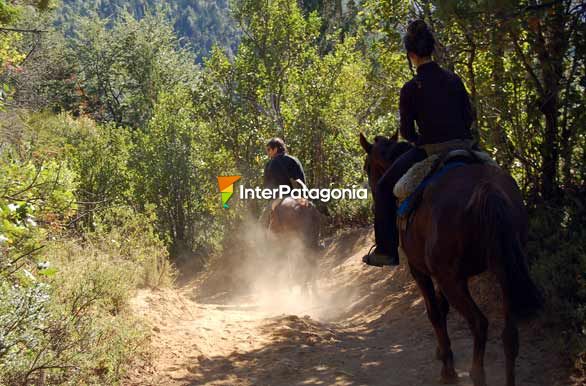 Cabalgata - El Bolsn