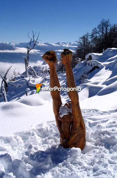 Bosque tallado y nevado - El Bolsn