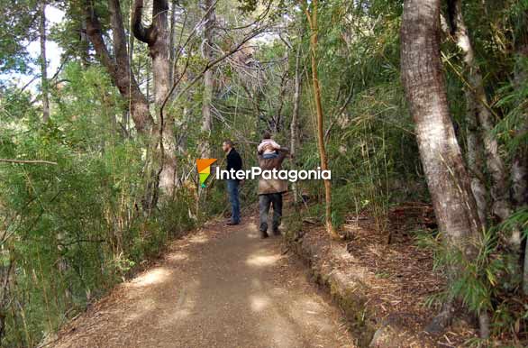 Sendero Puerto Chulao - El Bolsn