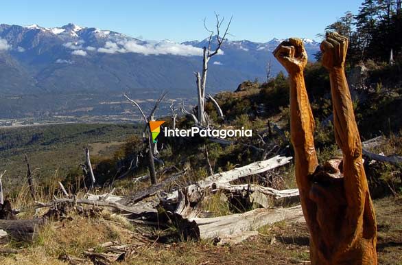 En un bosque quemado - El Bolsn