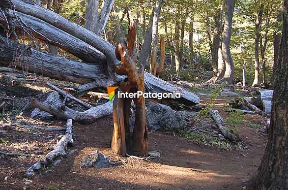 Corazn del Cerro Piltriquitrn - El Bolsn