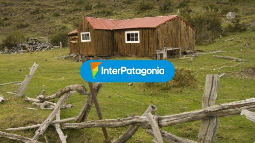 De las vacas