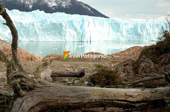 Postal en el glaciar - El Calafate