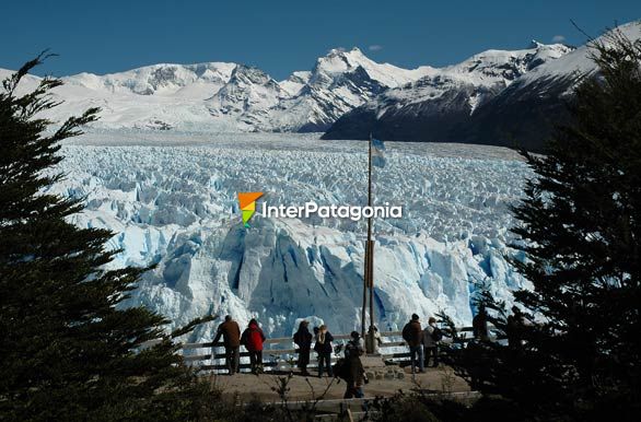 Flameando entre los hielos - El Calafate