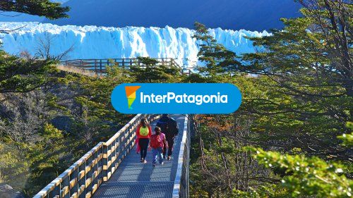 Walking tour en el glaciar