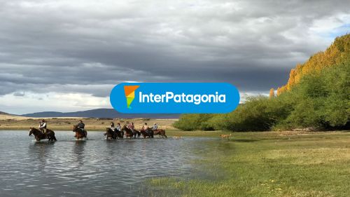 Calafate primavera verano