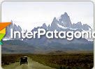 Camino al glaciar Torre