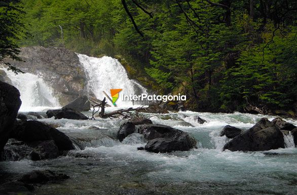 Cascada Ro de las Vueltas - El Chaltn