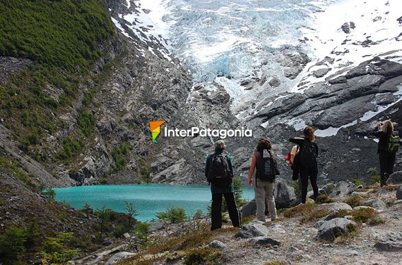 Laguna y Glaciar Huemul - El Chaltn