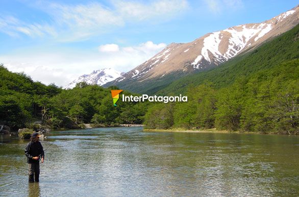 Pesca en el Ro de las Vueltas - El Chaltn