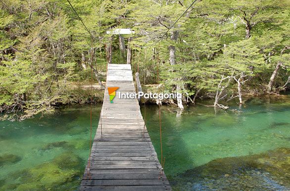 Puente sobre el Ro de las Vueltas - El Chaltn