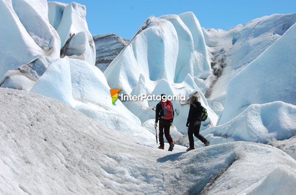 Trekking en el Glaciar Viedma - El Chaltn