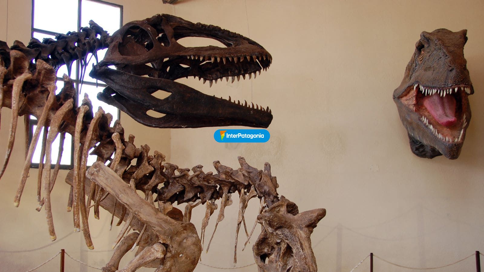 Cabezas de dinos - Villa El Choc�n