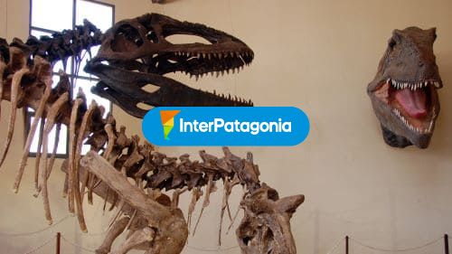 Cabezas de dinos