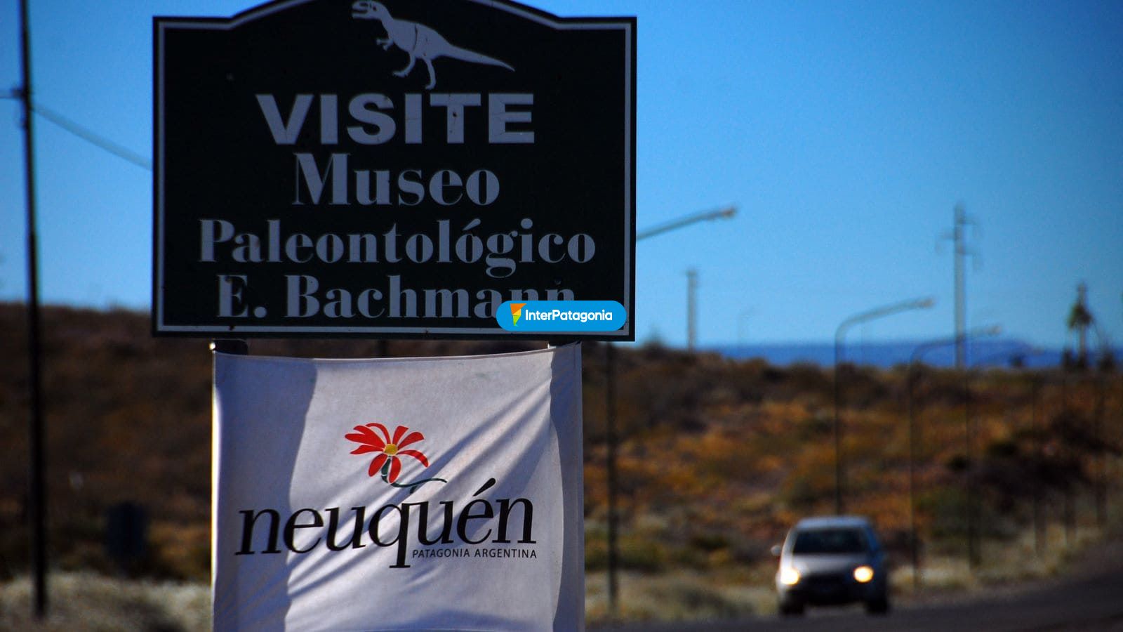Visite el museo paleontol�gico - Villa El Choc�n