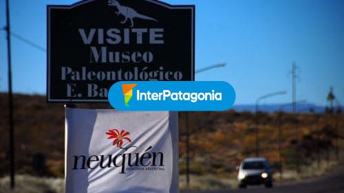 Visite el museo paleontológico