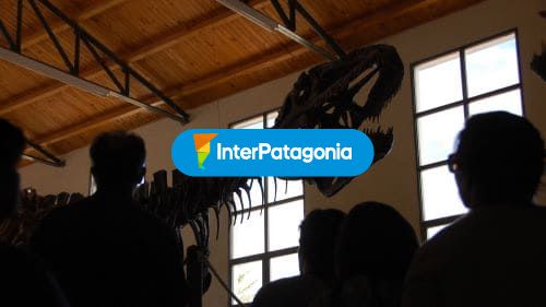 Paleontology at the MEB