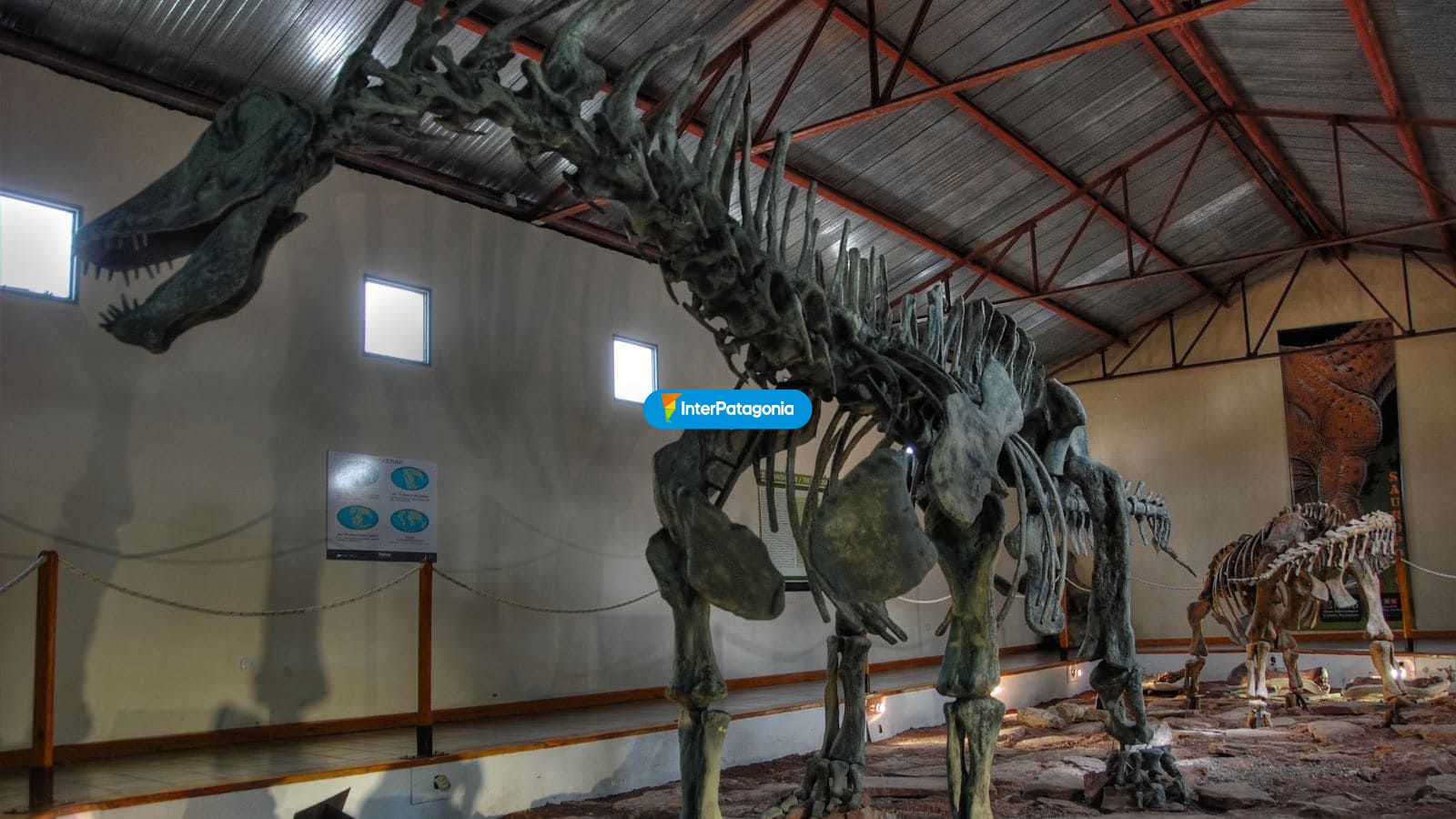 Remains of the Gigantosaurus - Villa El Choc�n