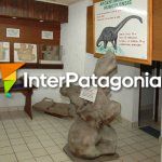 Museo Municipal; vértebra de dinosaurio