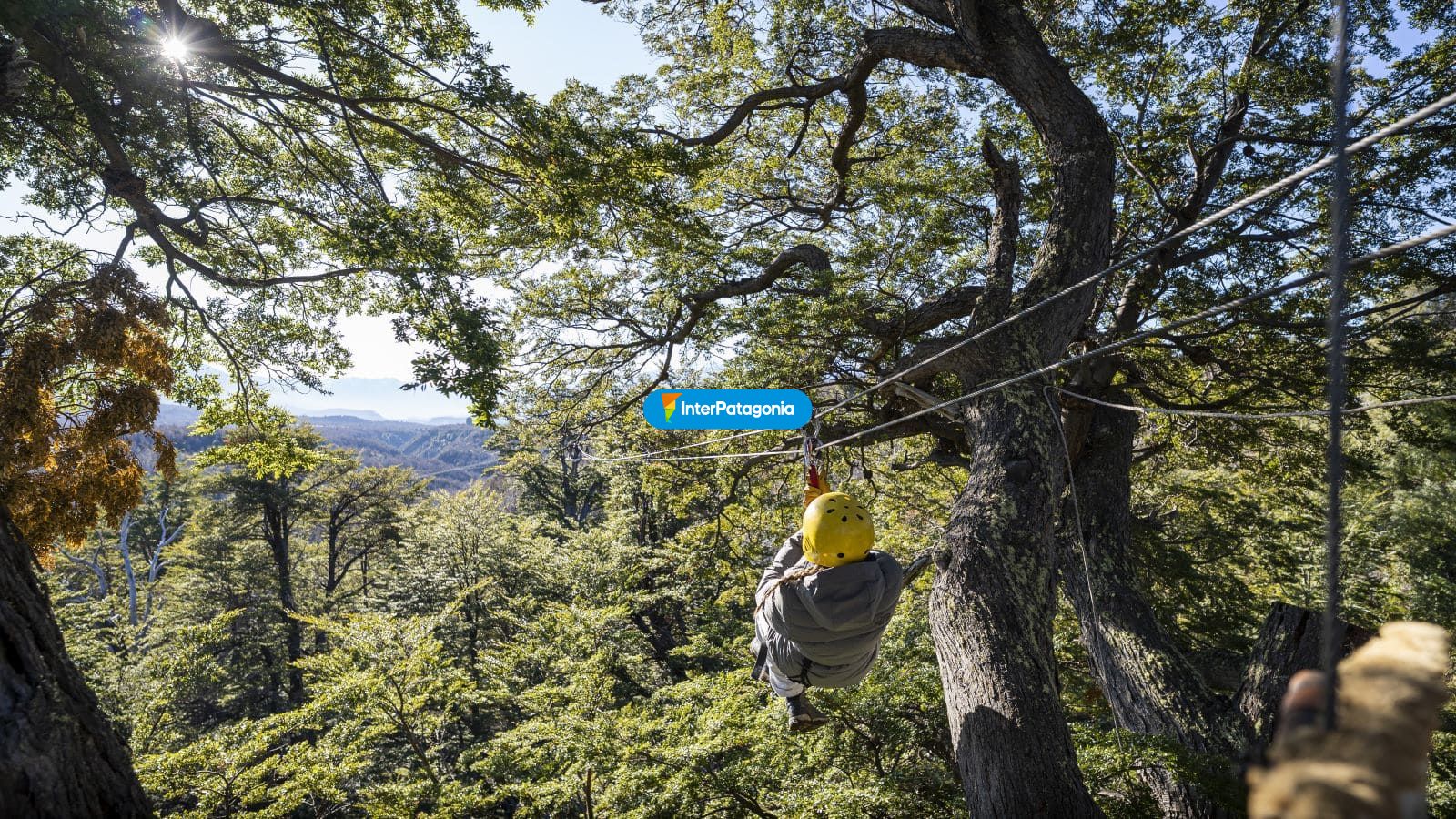Canopy - Esquel