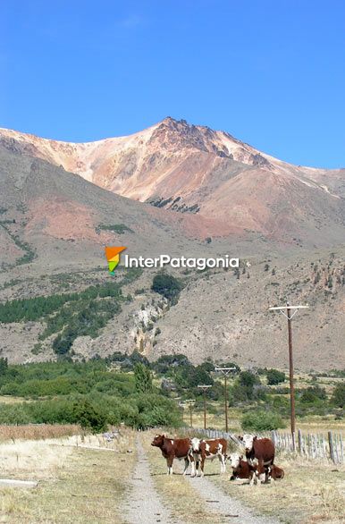 Paisaje cercano - Esquel