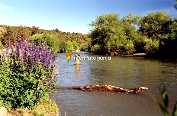 Pesca en el ro Percey - Esquel