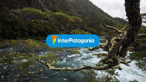 Flora del parque nacional