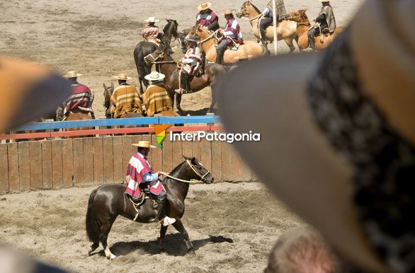 Rodeo en Frutillar - Frutillar