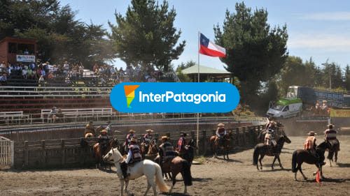Rodeo en la medialuna de Frutillar