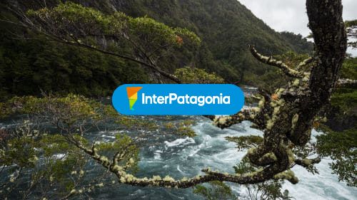 Flora del parque nacional
