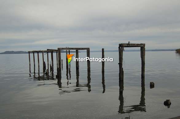 Muelle viejo - Futrono