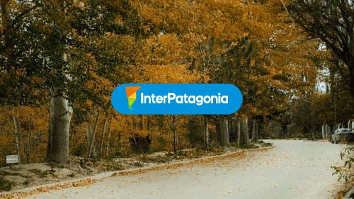 Postal de otoño