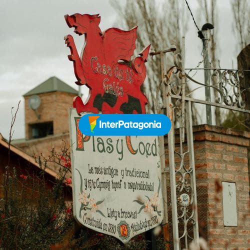 Plas y coed