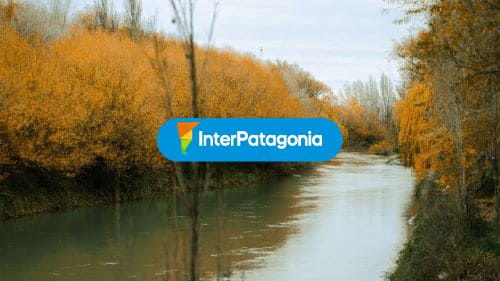 Río en otoño