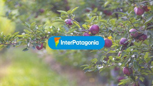 Fruticultura