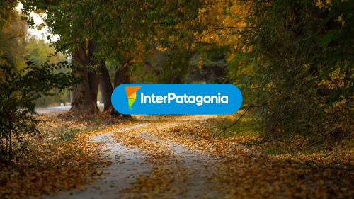 Otoño Ciclovía Ruta 6