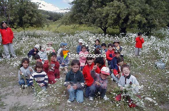 Juegos en el prado - Gobernador Gregores