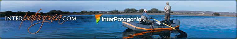 Inter Patagonia - Argentinian and Chilean Patagonia Guide