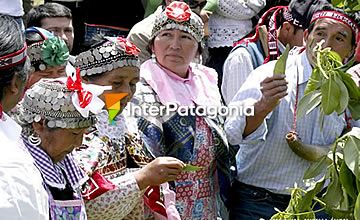 Cultura Mapuche