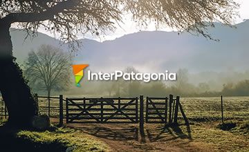 Patagonian Estancias