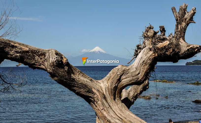 Lago Llanquihue