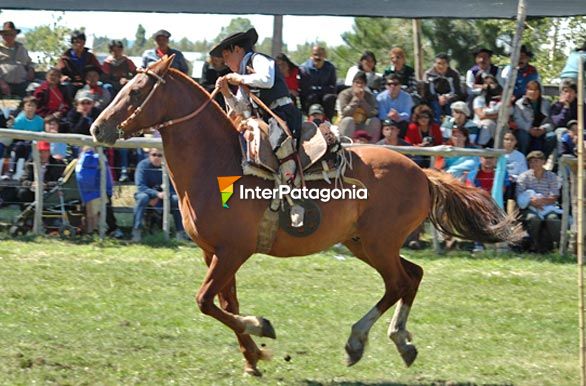 Pequeo jinete con botas de potro - Junn de los Andes