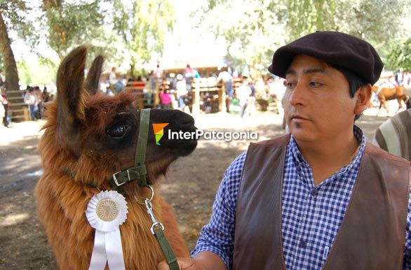 Premiado - Junn de los Andes